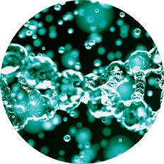 Microscopic Image of CellerateRX® Gel